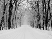 inverno